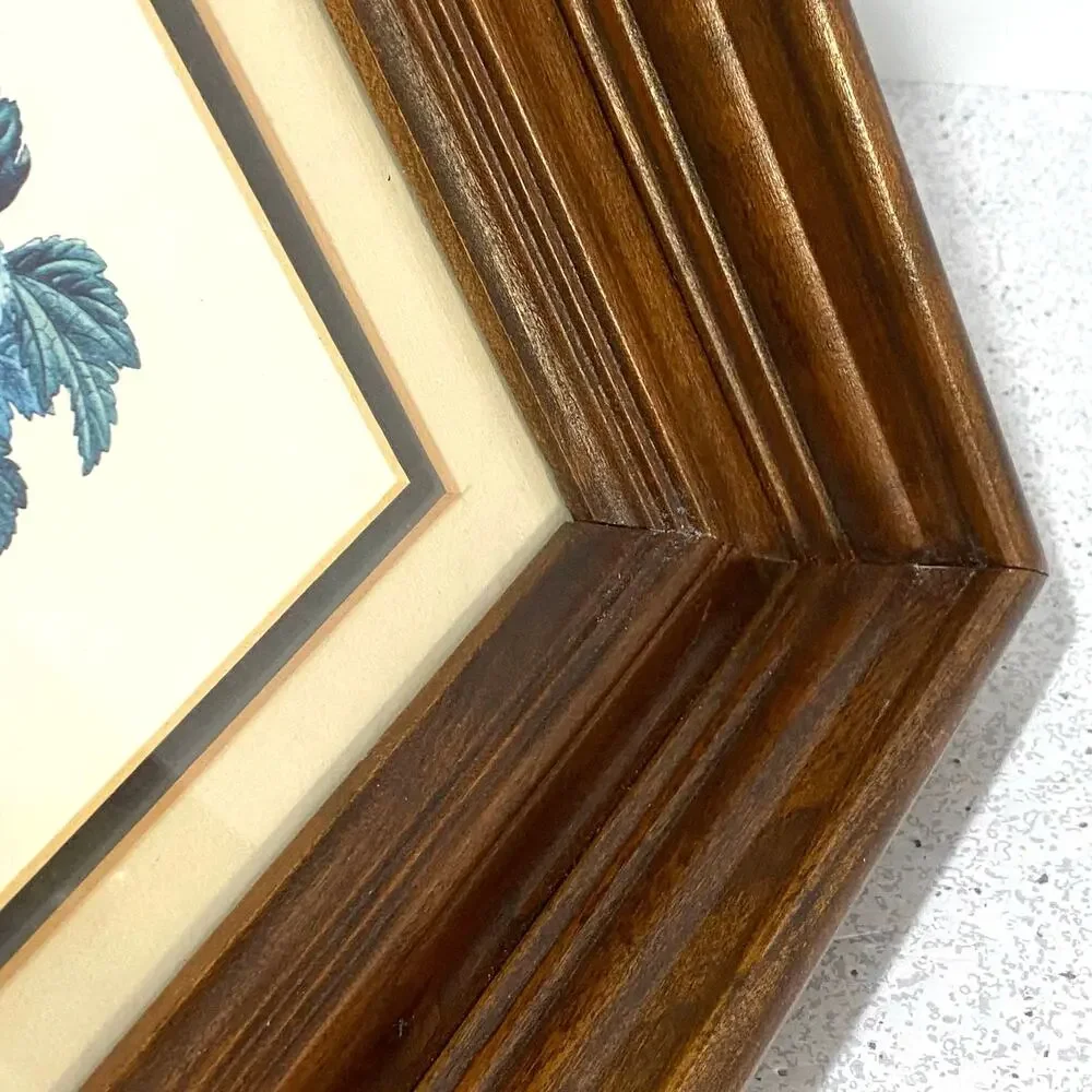 Botanical Lithograph Print Framed in Shadowbox Deep Walnut Solid Wood Frame